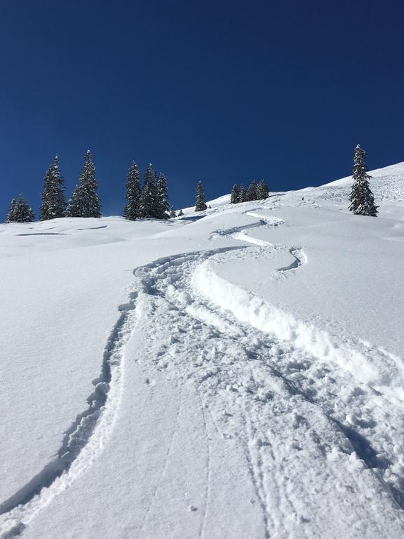 Appartement Haus Seerose Reith im Alpbachtal Eksteriør billede